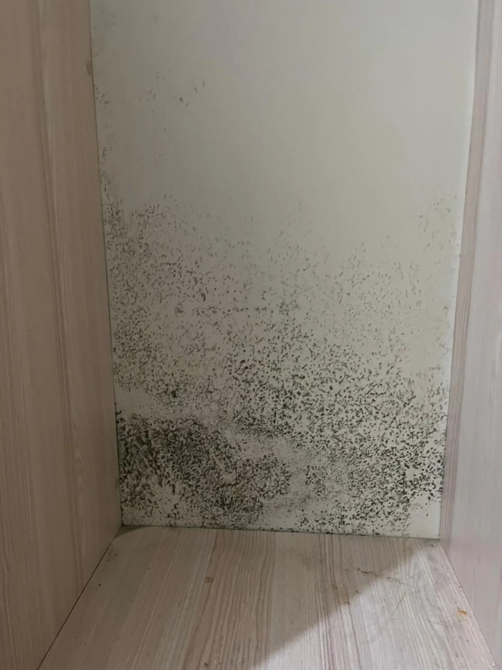 Поражённый участок стены под обоями до зачистки