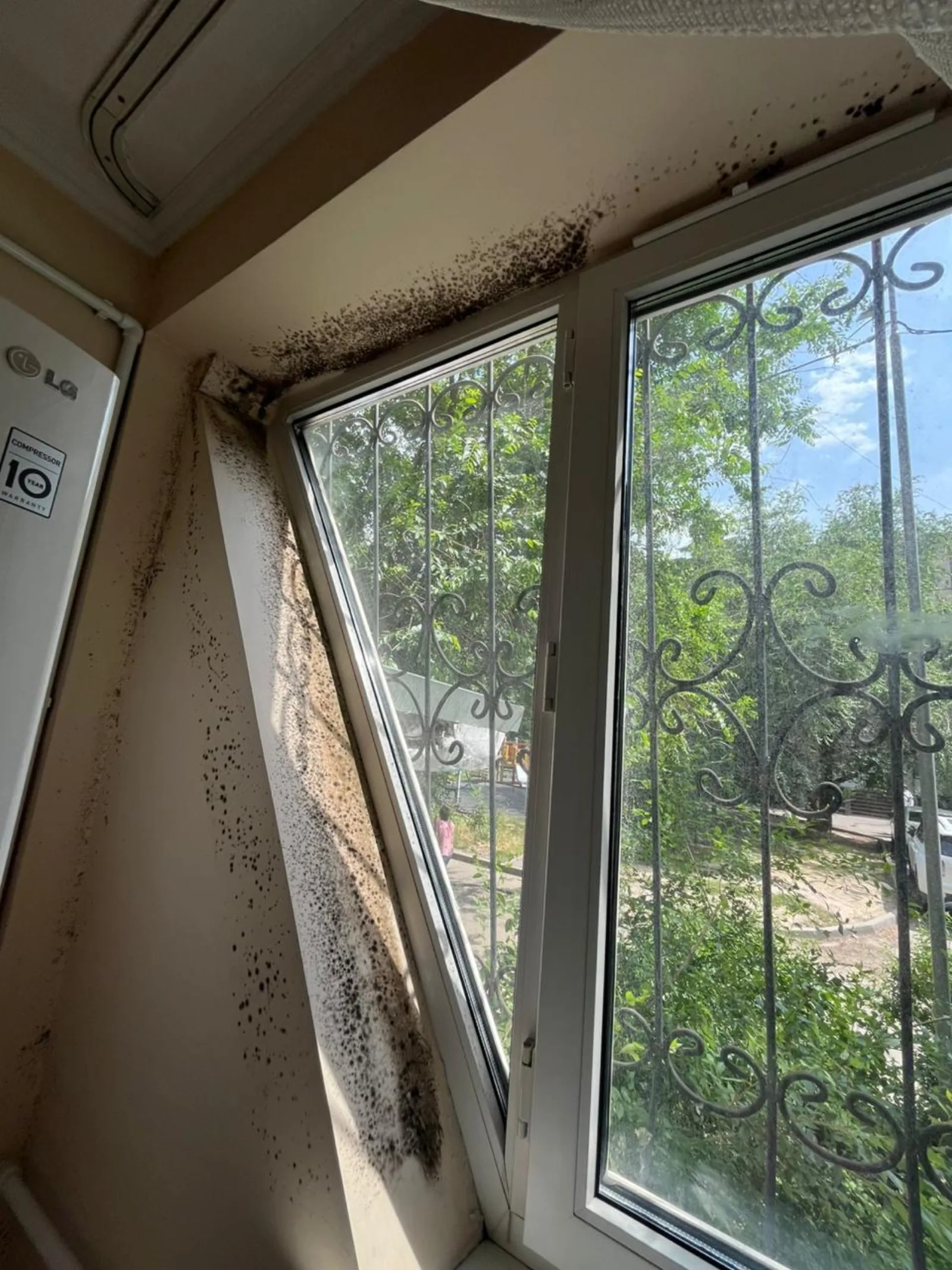 Плесень у оконного откоса — типичный очаг после конденсата